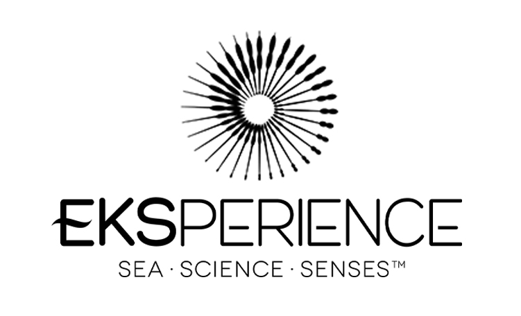 logo revlon eksperience